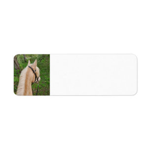 Etiquetas de direcciones de retorno de caballo