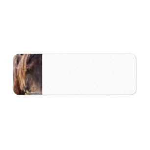 Etiquetas de direcciones de retorno de caballo