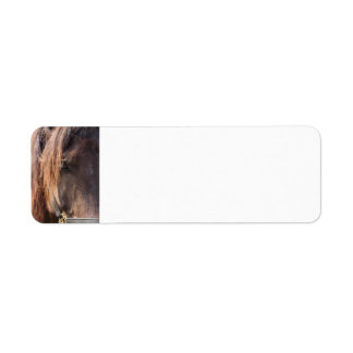Etiquetas de direcciones de retorno de caballo