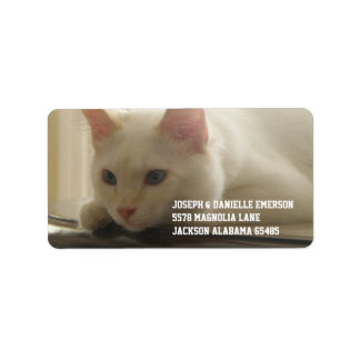 Etiquetas de direcciones de White Kitty