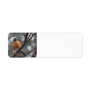 Etiquetas de direcciones Robin de primavera