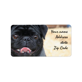Etiquetas de envío de Black Pug