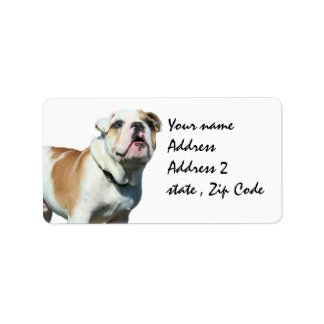 Etiquetas de envío de bulldog en inglés