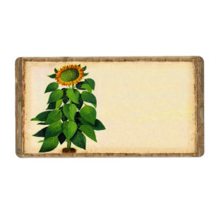 Etiquetas de envío de girasol