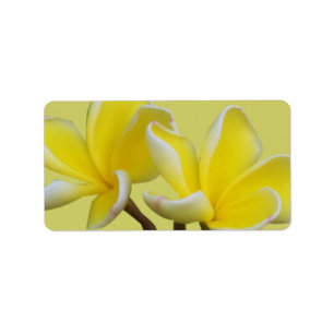 Etiquetas de envío/dirección comercial de Plumeria