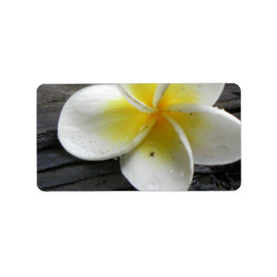 Etiquetas de envío/dirección comercial de Plumeria