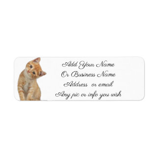 Etiquetas de gatito