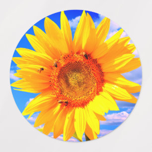 Etiquetas de girasol amarillo y abejas