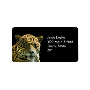 Etiquetas de Jaguar