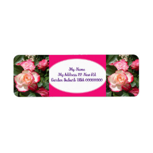 Etiquetas de la dirección de la devolución de colo