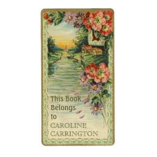Etiquetas de la placa de la colección de vintage p