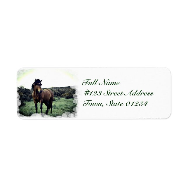 Etiquetas de Mustang Wild Mailing (Frente)