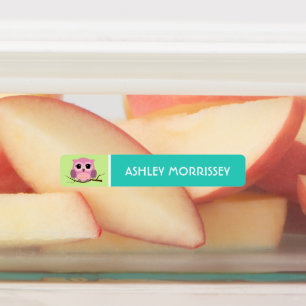 Etiquetas de nombre para niños de búhos coloridos 