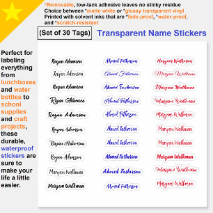 Etiquetas de nombre simples transparentes (conjunt