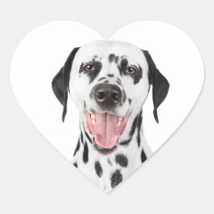 Etiquetas de Pegatinas de Feliz Cachorro Dálmata