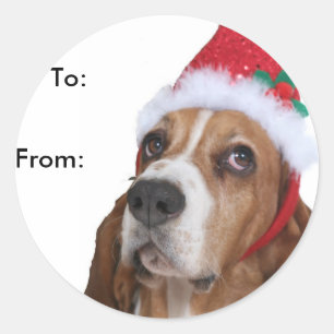 Etiquetas de regalo de beagle pipy