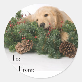 Etiquetas de regalo de perro para Navidades pequeñ