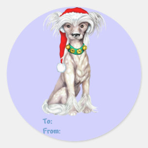 Etiquetas de regalo de Santa Claus en reposo chino