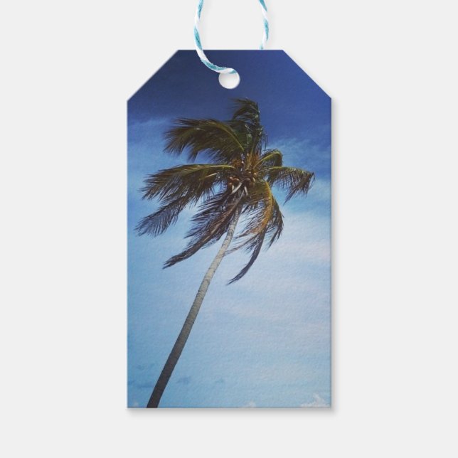 Etiquetas de regalo del Personalizable fotográfico (Anverso)