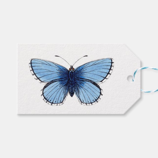 Etiquetas de regalo - Mariposa azul (Frente (Horizontal))