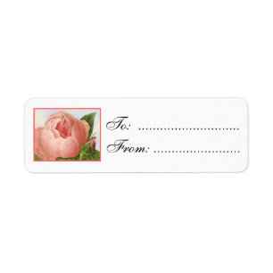 Etiquetas de regalo personalizadas con rosas Pink