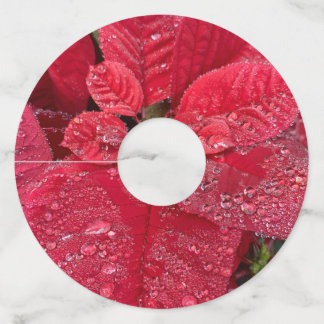Etiquetas de vino de Poinsettia No: 2