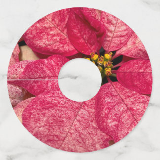 Etiquetas de vino de Poinsettia No: 6