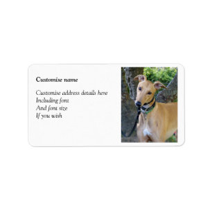 Etiquetas del galgo (p85)