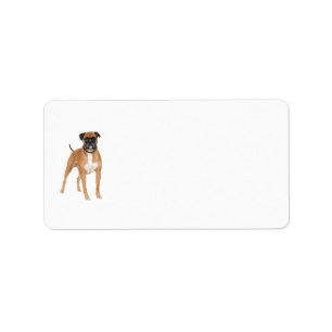 Etiquetas del perro del boxeador
