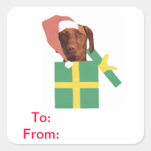 Etiquetas del regalo de Vizsla a y desde el