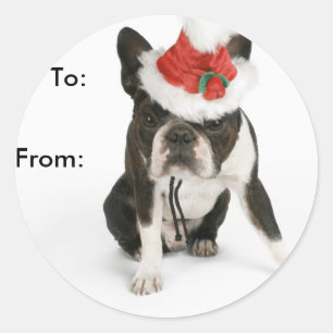 Etiquetas del regalo del perrito de Boston Terrier