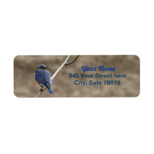 Etiquetas del remite de la foto del Bluebird