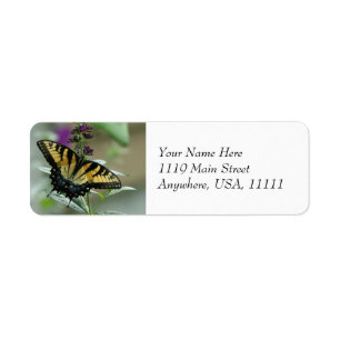 Etiquetas del remite de la mariposa de Swallowtail