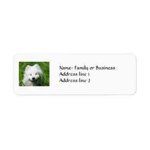 Etiquetas del remite del samoyedo