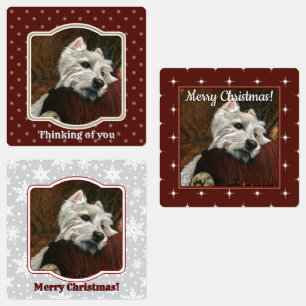 Etiquetas El tiempo de descanso en Sofa