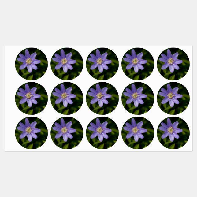 Etiquetas Flor silvestre (Hoja)
