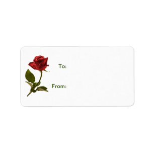 Etiquetas florales del regalo del rosa rojo de la
