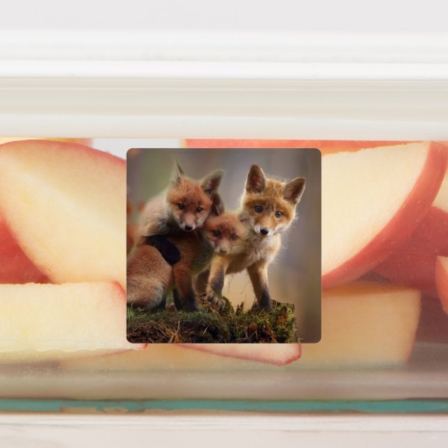 Etiquetas Foxy Triplets (Fijada)