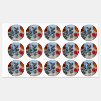 Frambuesas y arándanos