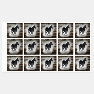 Etiquetas Gallopaje de caballos salvajes