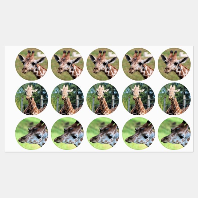 Etiquetas Giraffe (Hoja)