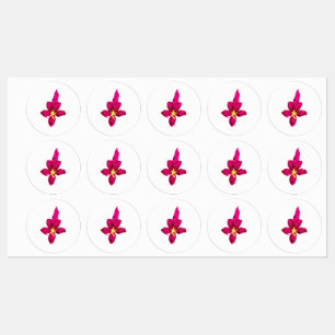 Etiquetas Girly Design, Light Gold, Purplish Red