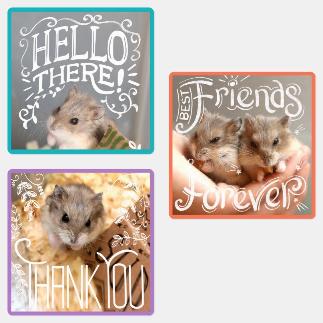 Etiquetas Hammyville - Hamsters Hello, BFF, Gracias (Grupo)