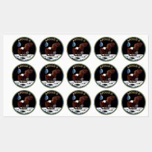 Etiquetas Insignia del Apolo 11