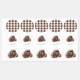 Etiquetas Jambo The Hairless Chimp (cambiar a su propio text