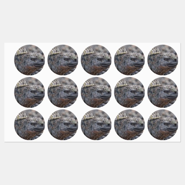 Etiquetas Marine Iguana (Hoja)