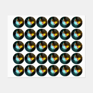 Etiquetas Mariposa luminosa y mariposas nocturnas