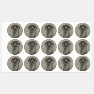 Etiquetas Meerkat metalizado