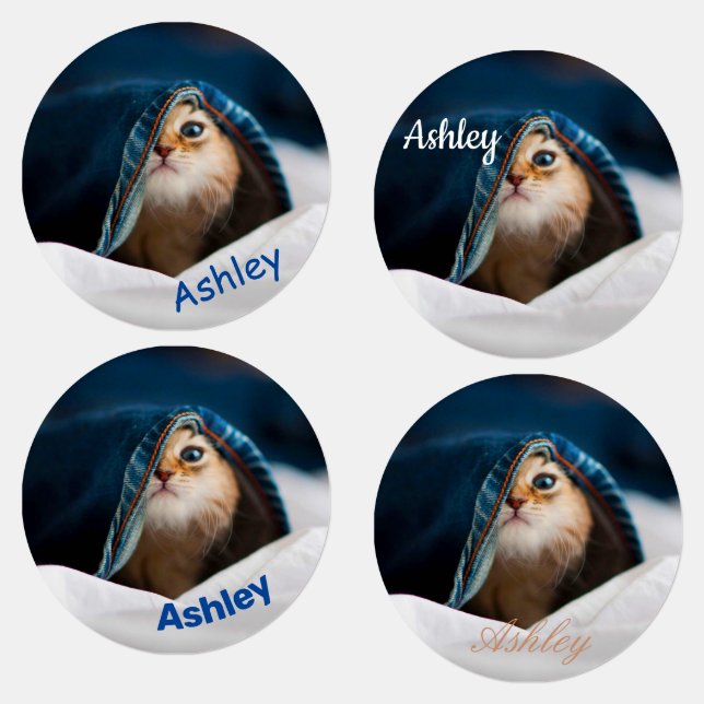 Etiquetas Naranja Tabby Cat (Grupo)