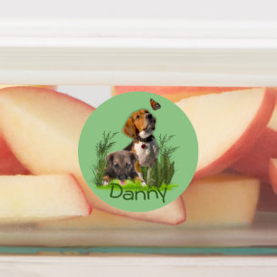 Etiquetas Nombre de las variables